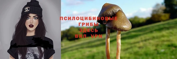 герыч Арсеньев