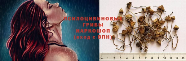 герыч Арсеньев