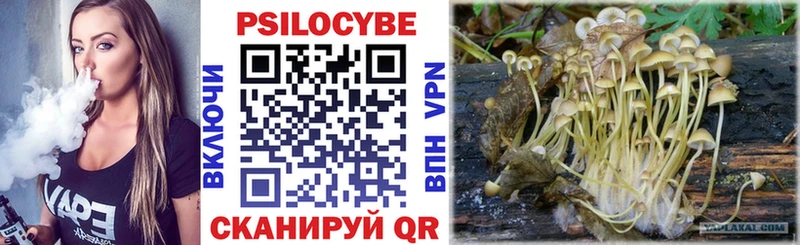 Псилоцибиновые грибы GOLDEN TEACHER  Сасово 